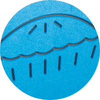 Bleu ciel <br/> Noir corbeau <br/> Bleu ciel